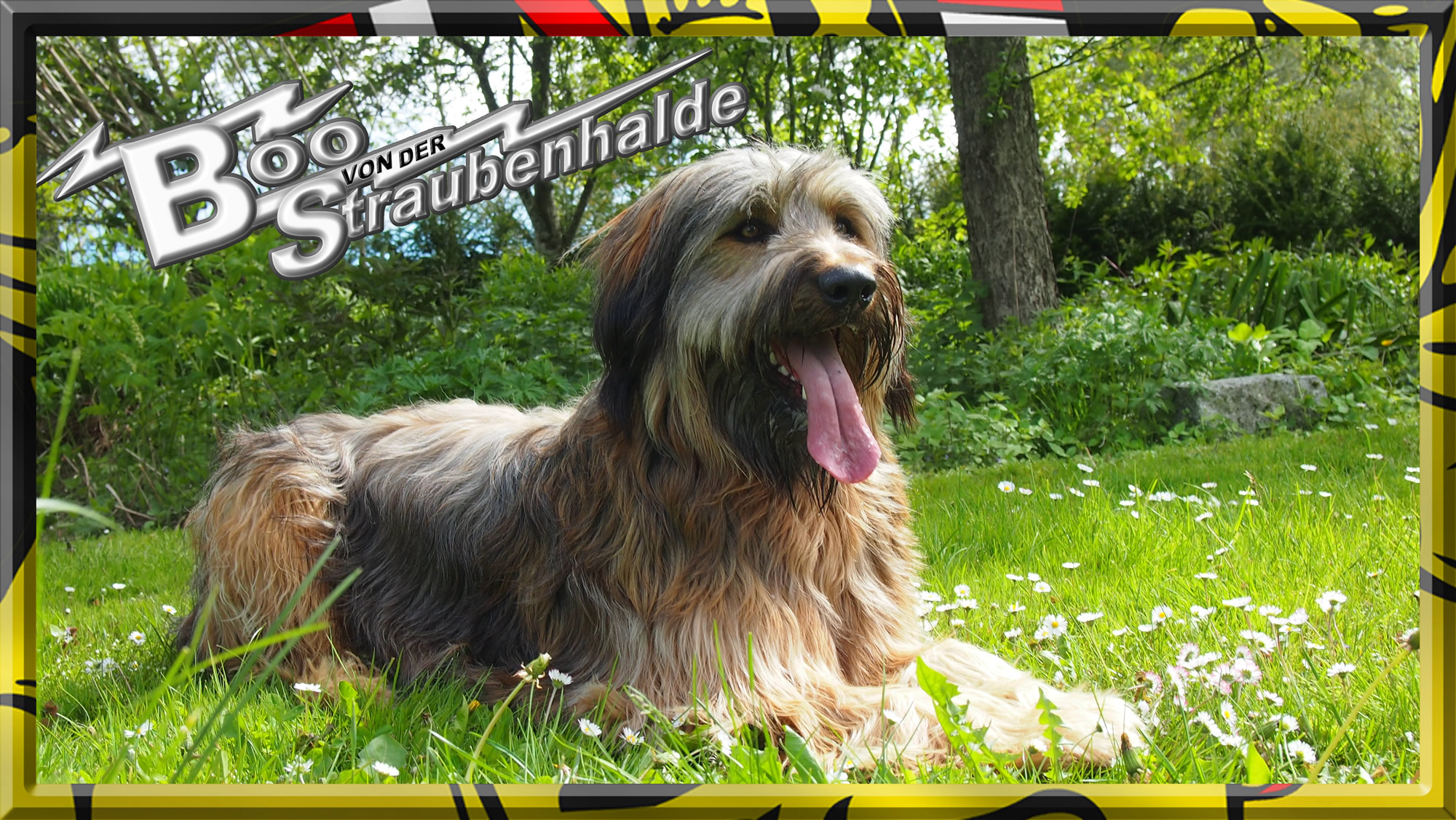 Wäller von der Straubenhalde